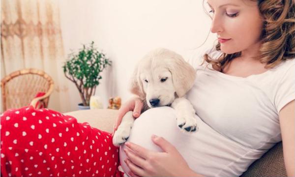 Tư vấn phụ nữ mang thai có nên nuôi thú cưng không?